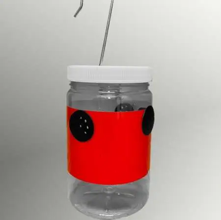 SWD (Drosophila Suzukii) / Trap